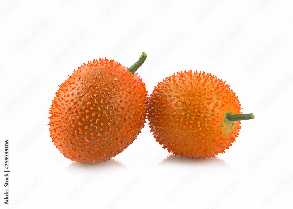 gac,baby jackfruit(momordica cochinchinensis) isolated on white gac,baby jackfruit(momordica cochinchinensis) isolated on white