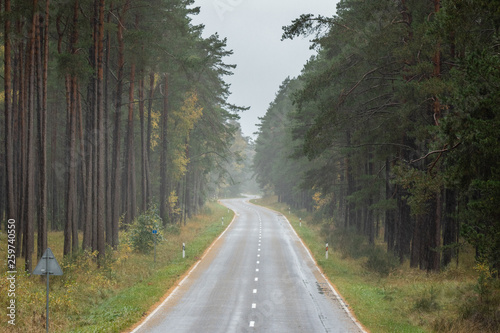 Empty forest autumn road in Curonian Spit on calm rainy day