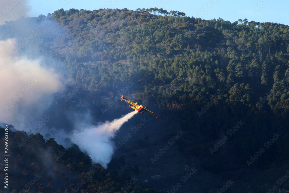 a canadair firefighting aircraft sprays water on the fire in the Pisan mountains