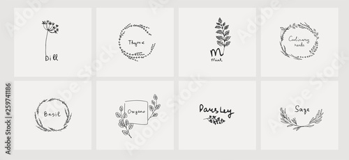 Hand drawn set of culinary herb. Basil and mint, rosemary and sage, thyme and parsley. Food design logo elements