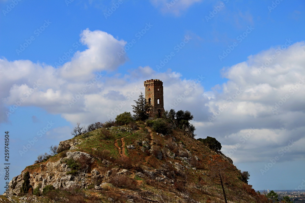 the tower of the Upezzinghi or Caprona tower on the rocky hill
