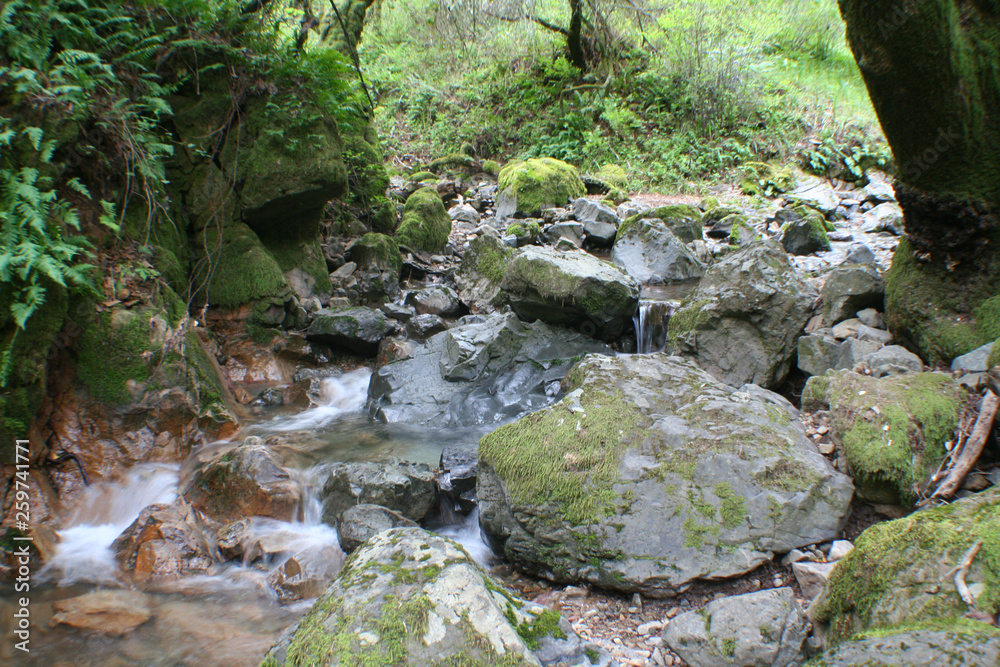 Magical Scenic Creek Flowing Through Mountain After Rain Storm Magical Scenic Creek Flowing Through Mountain After Rain Storm