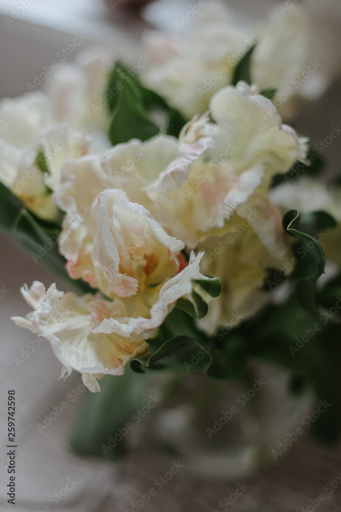 Papagei tulip on the white table Papagei tulip on the white table