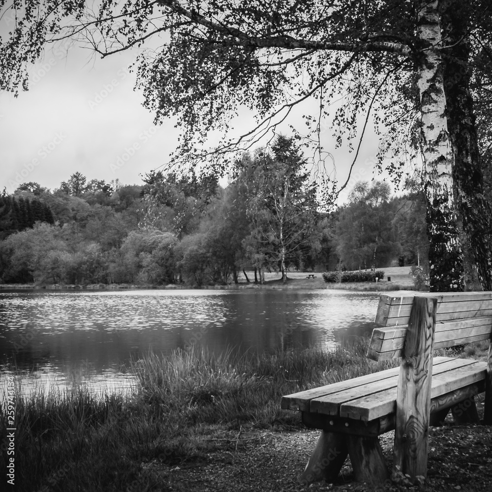 Bench at the lake in black and white