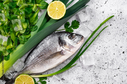 Raw fresh sea fish with herbs, onion, lime and ice for cooking on white stone background, Top view and copy space. Mediterranean healthy food concept