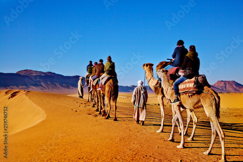 Caravana de camellos en el Sahara de Marruecos. Concepto de viajes y aventuras exóticas. © TaniaC.