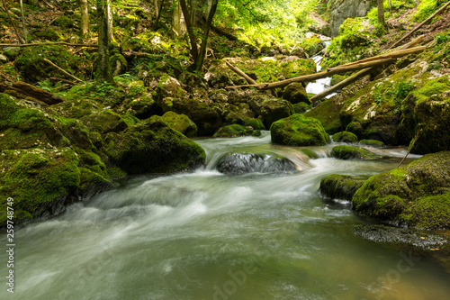 Pristine river and waterfalls deep in the mountains  in summer  and bright green foliage