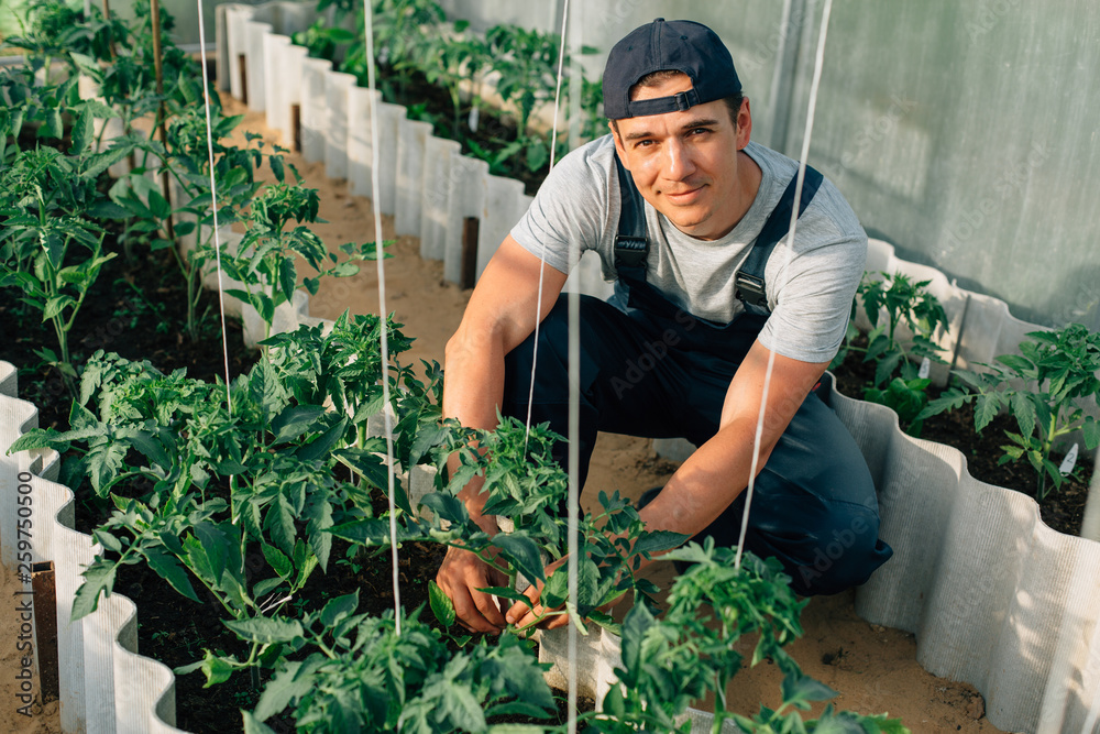 Handsome cheerful young gardener in overall and cap working in greenhouse. Portrait of joyful farmer.
