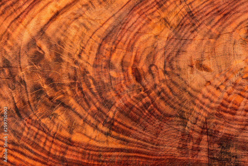 Naklejka premium The abstract natural slab wood texture of the background. The creative concept of ecological nature. Background mahogany pattern.