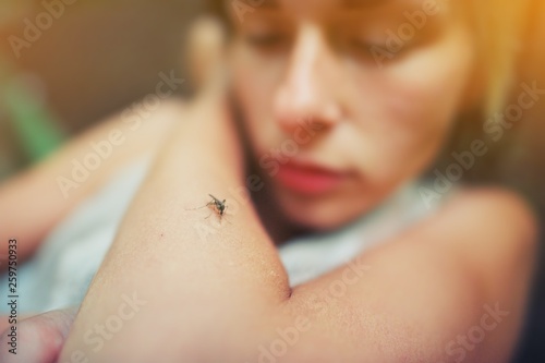 A mosquito sits on the woman's hand, and sucks blood. Pain, danger of infection. Dangerous Zica virus aedes aegypti mosquito bite on human skin, Dengue, Mayaro fever. Sick girl itchy arm close up photo