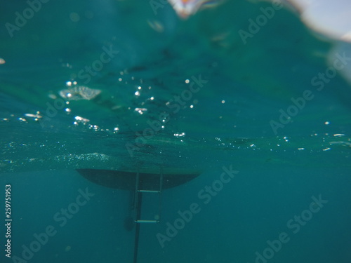 DCIM100GOPROGOPR2398.