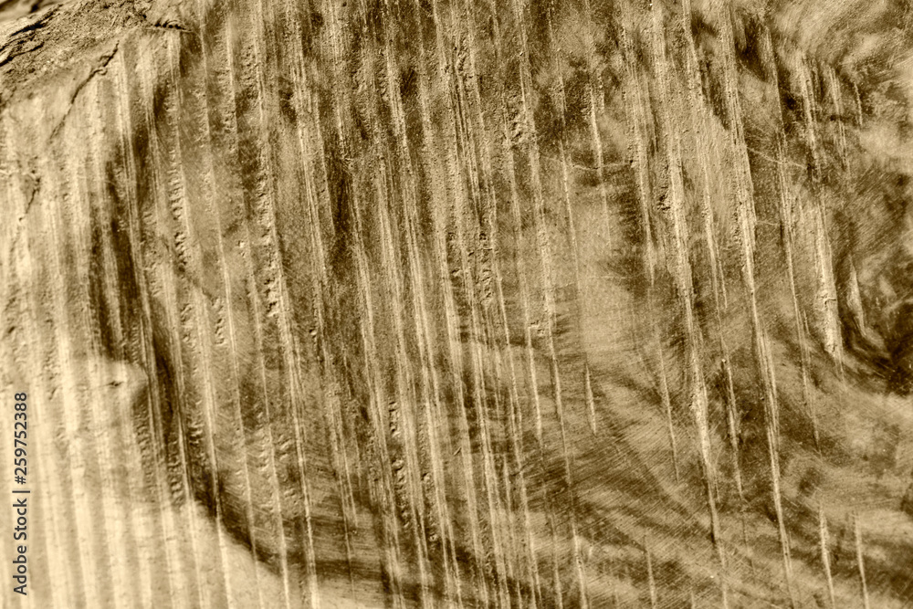 Naklejka premium The abstract natural slab wood texture of the background. The creative concept of ecological nature. Background mahogany pattern.