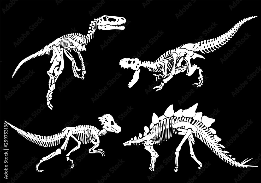 Graphical set of dinosaur skeletons isolated on black background,vector ...