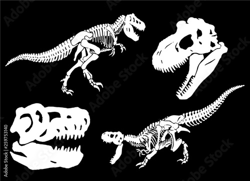 Graphical set of dinosaur skeletons isolated on black background,vector sketch