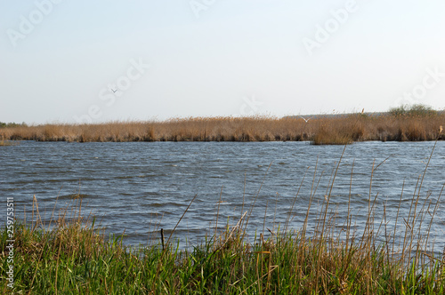 The Lake In The Nature Reserve On The Windy Day