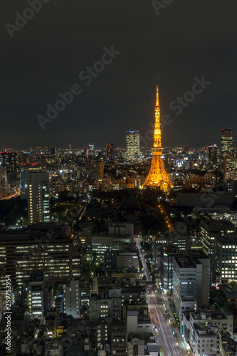 Tokyo city skyline in evening with Tokyo tower  at hight  skyscaper