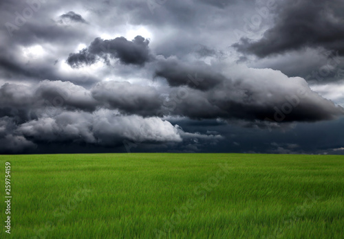 Field and Storm Clouds © Sabphoto