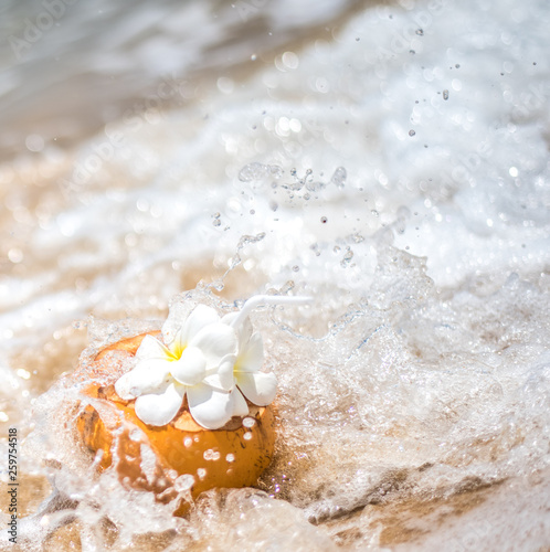 Fresh young orange coconut with a tube for drinks and Plumeria flowers in a tropical resort near the ocean