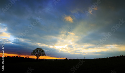 Colorful Sunset and wind wheels .Nature background.