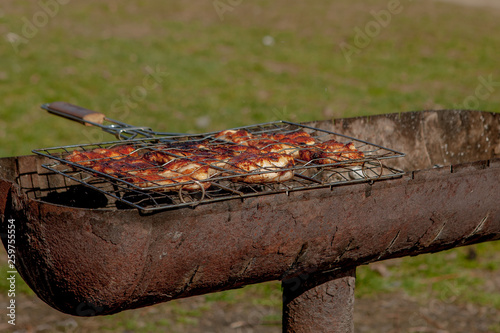 Meat grilled on the barbecue grill. Dinner picnic party concept. Grilled food background. Shallow focus. Copy space. Top view