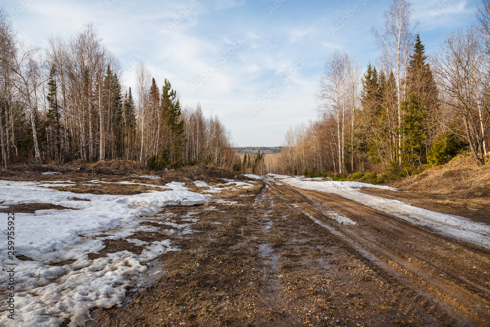 Road Spring Forest Road Spring Forest