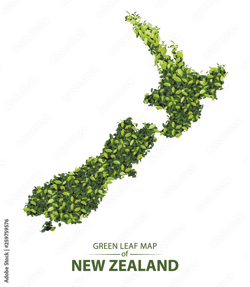 Green leaf map of new zealand vector illustration of a forest is concept Green leaf map of new zealand vector illustration of a forest is concept