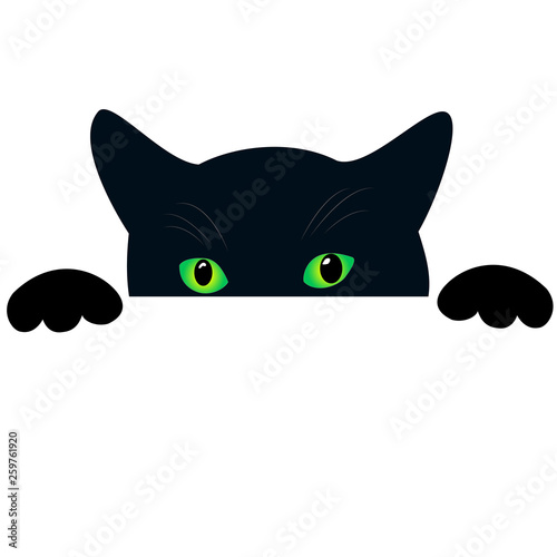 Cute black cat face with green eyes peekings. Isolated white background. Curious funny cat hides and peeps, creative design pattern.