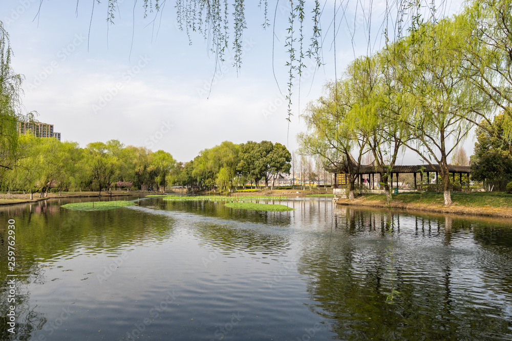 Obraz premium landscape of west lake in hangzhou china