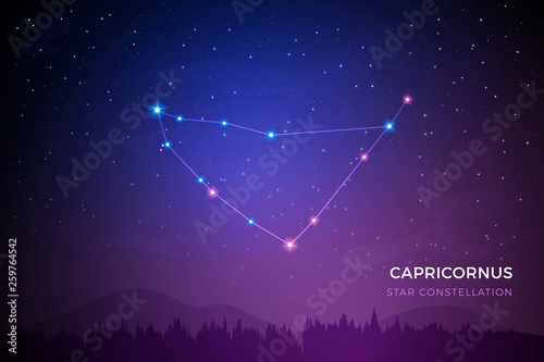 Capricornus star constellation on the beautiful night sky vector illustration