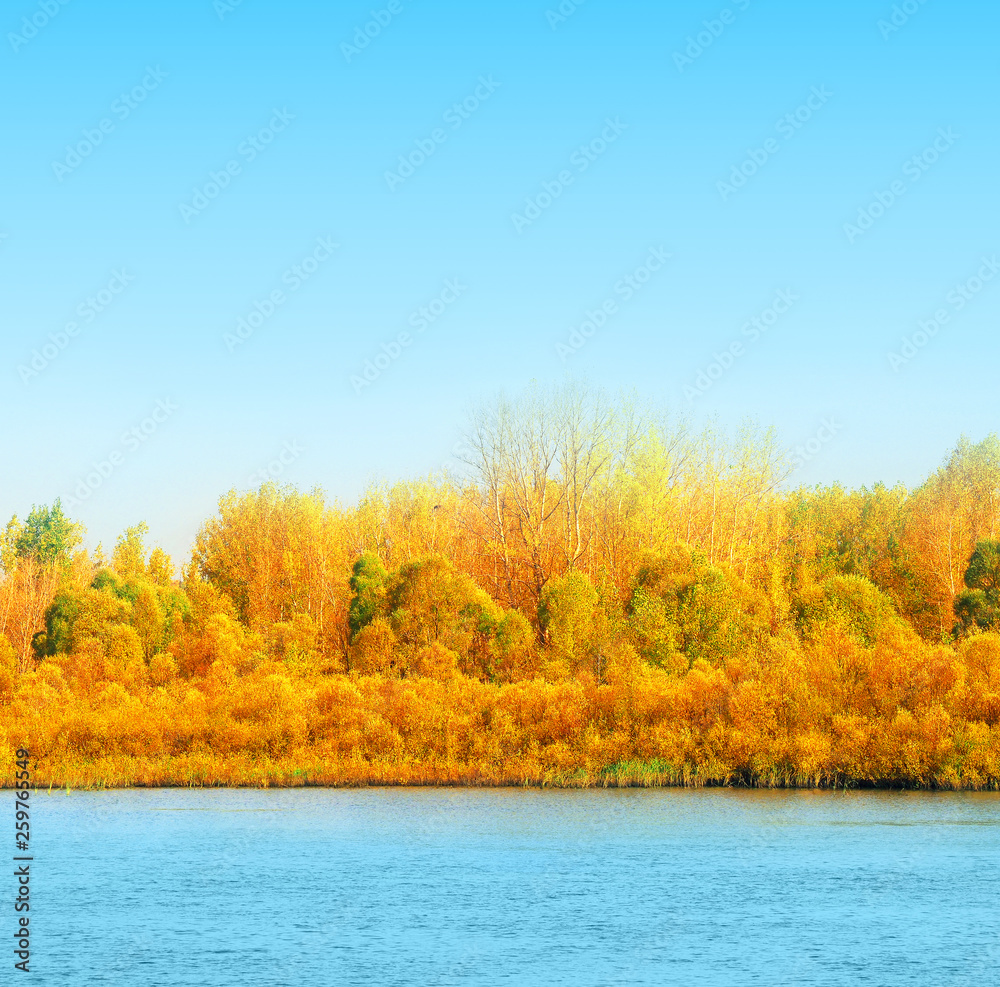 Golden autumn landscape. Idyllic fall foliage scene. Beauty of autumn nature and blue sky, water