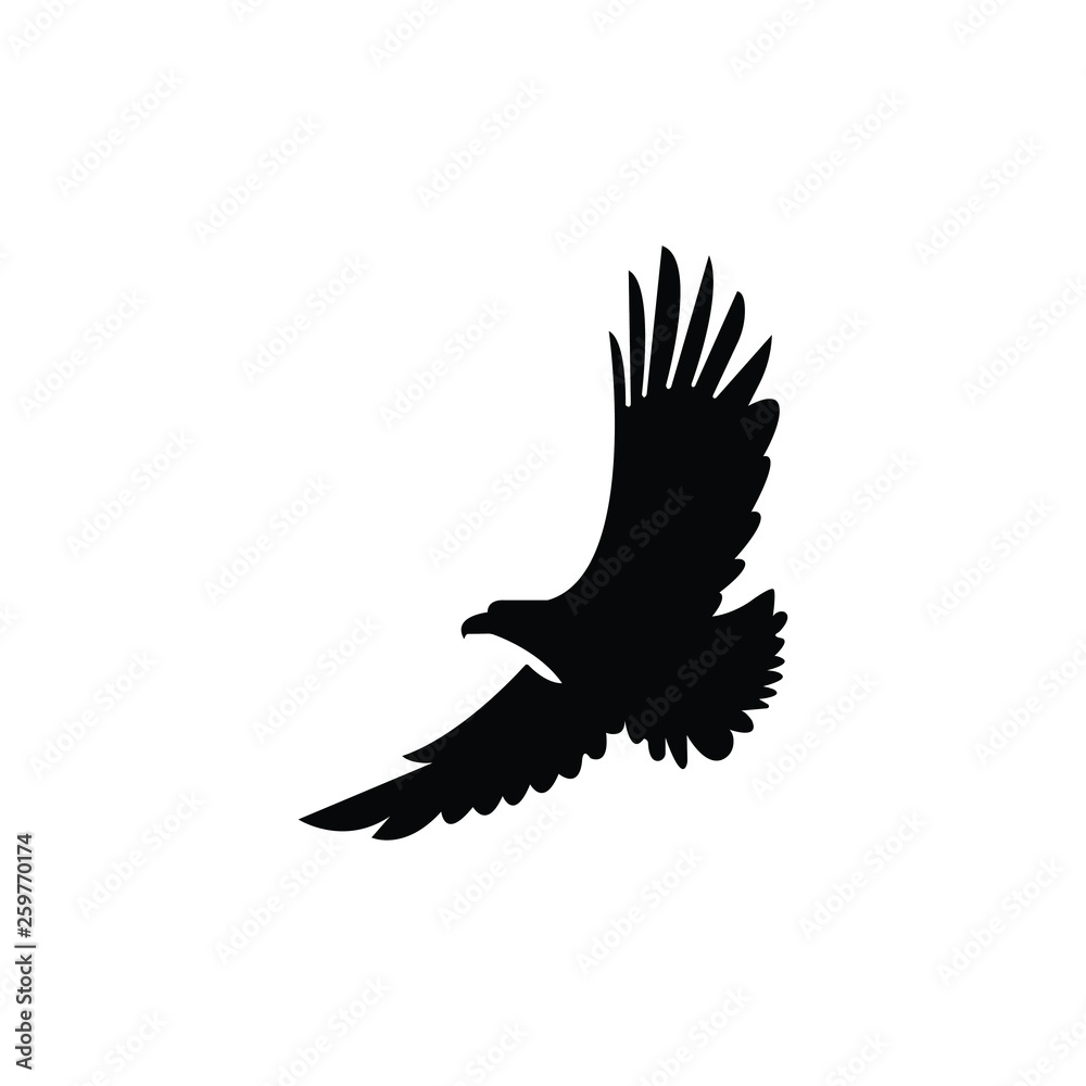 Naklejka premium eagle in flight