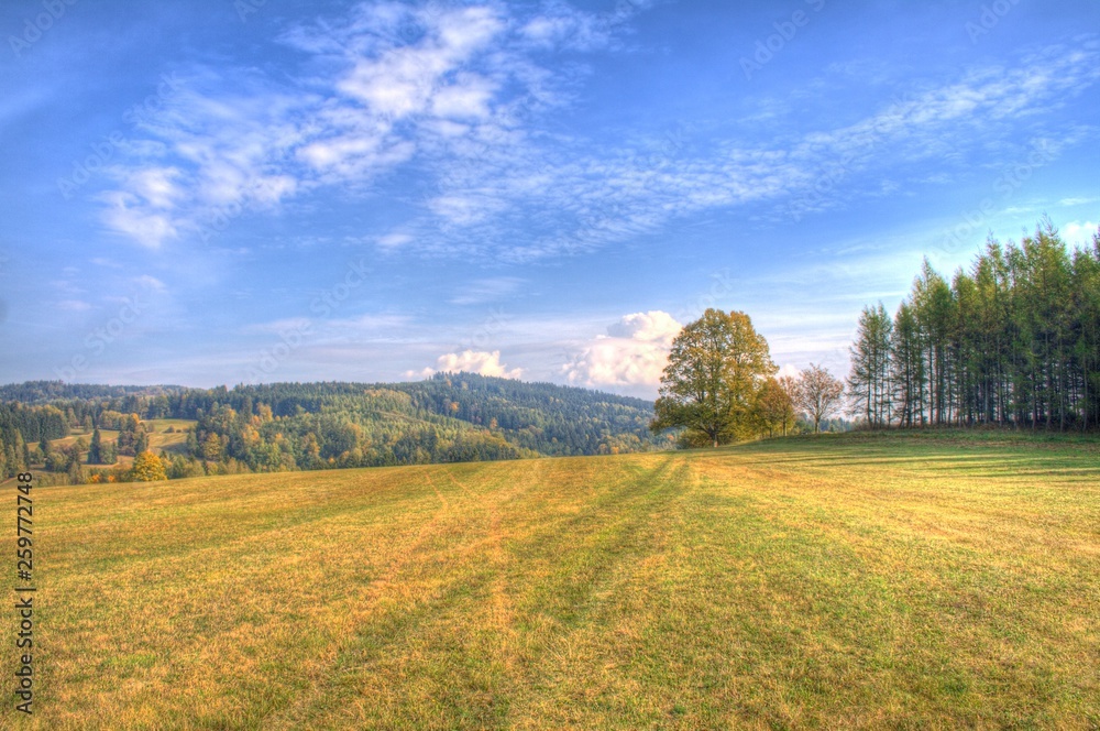 Fototapeta premium krajina