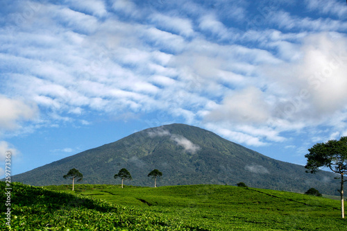 Mount Dempo and tea plantation, Pagar Alam, South Sumatra, Indonesia photo