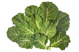 Rastan ( Collard greens, collards ) - popular leafy vegetables in Balkan cuisine. Isolated on white background, flat lay