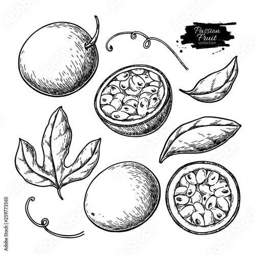 Passion fruit vector drawing set. Hand drawn tropical food illustration. Engraved summer passionfruit