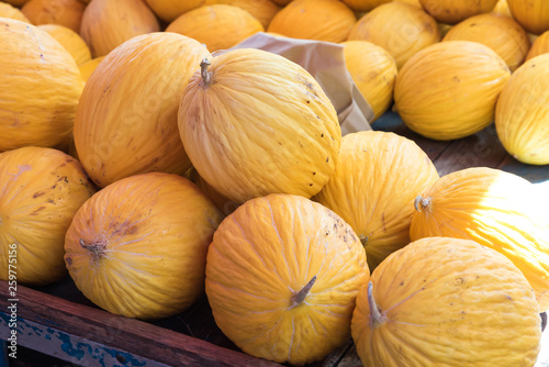 Yellow melons at the market