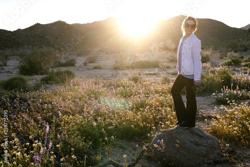 Woman standing on a rock in a wildflower field at dusk in Joshua Tree National Park California. Sunflare in photo