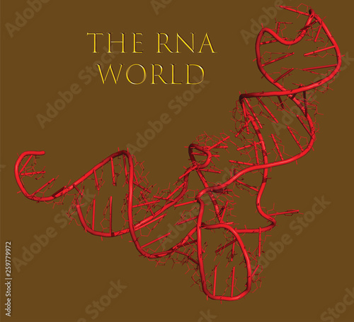 The RNA world