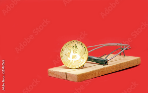 Mousetrap with gold bitcoin.