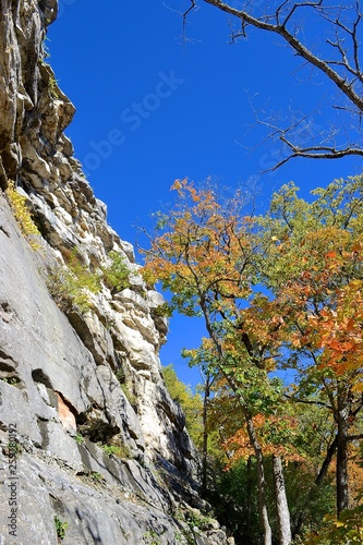 Cliff in Autumn