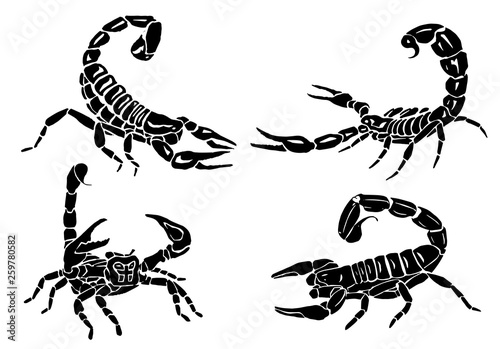 Graphical set of scorpions isolated on white background, vector illustration,tattoo