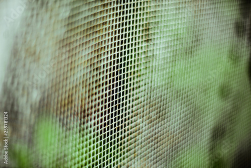 Plastic mesh, texture of green surface with depth of field. Abstract horizontal background.