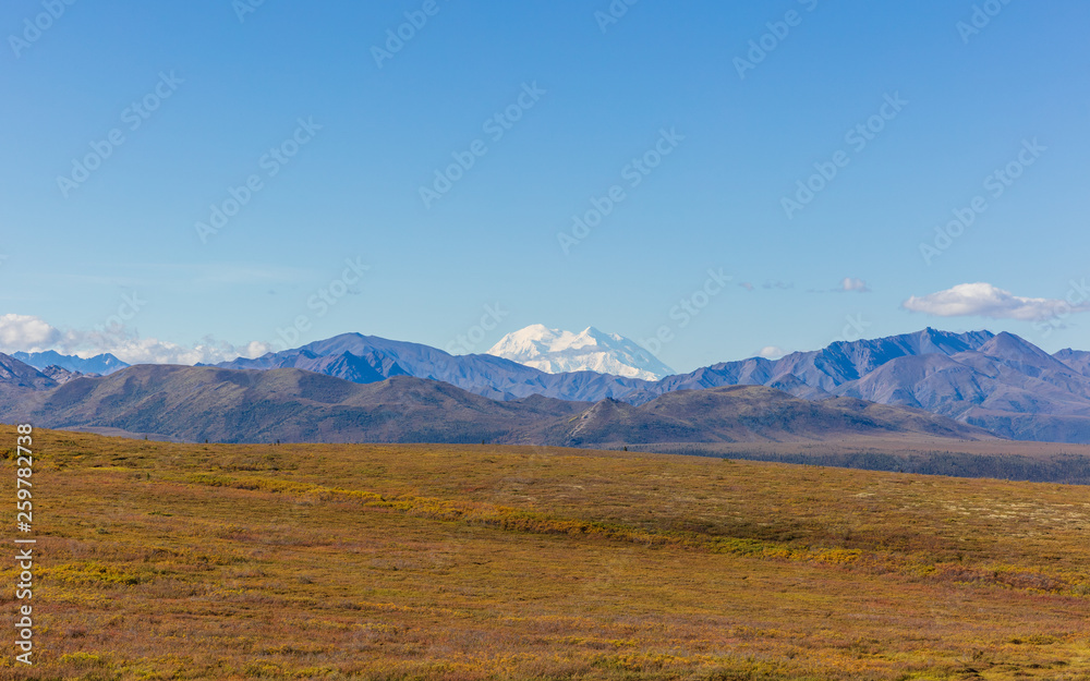 Naklejka premium Scenic Denali National Park Alaska