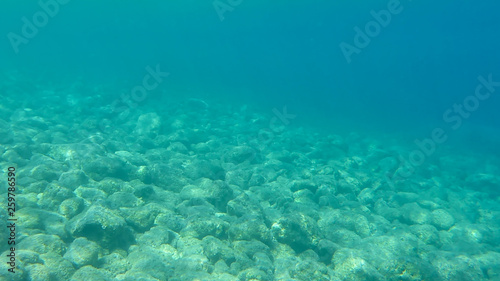 UNDERWATER view of turquoise clear water and white pebbles scattered off the seabed of the Antisamos bay, Kefalonia island, Ionian Sea, Greece.