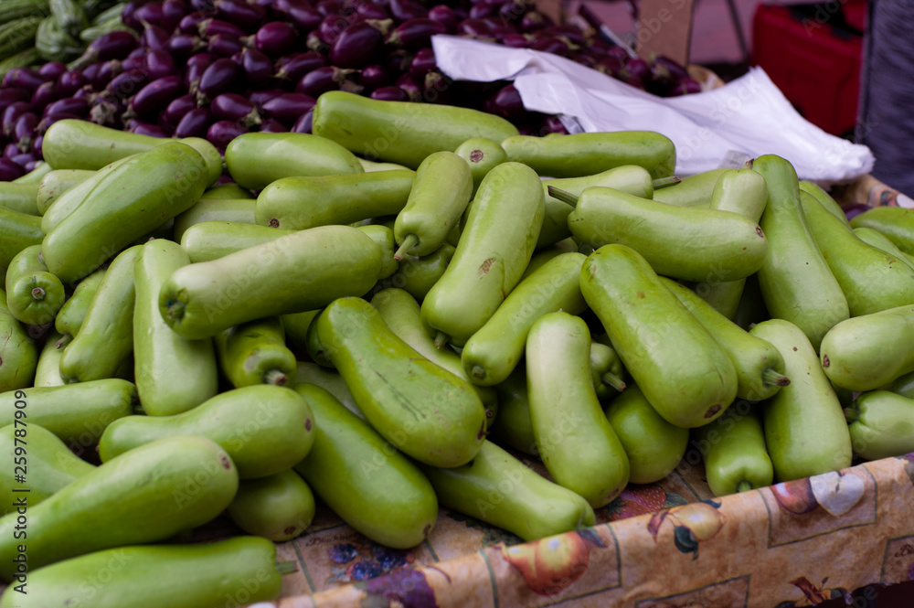 Opo squash at farmers market