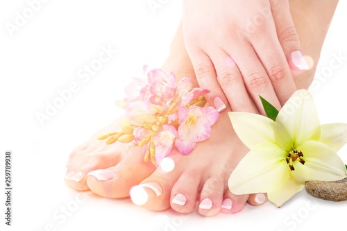 Female legs and hands with beautiful flower