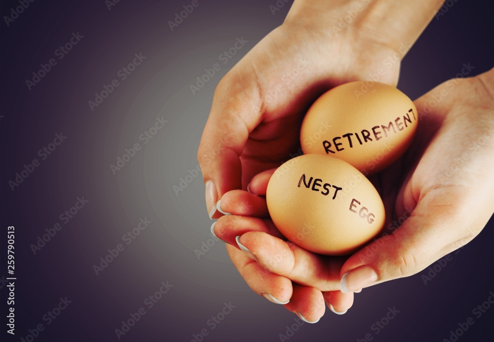 Investment retirement pension nest egg eggs planning protection