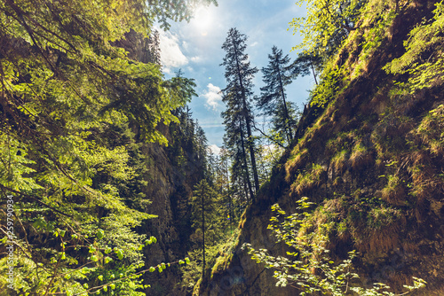 Mixnitz waterfall path along mountain stream. Tourist spot. Travel destination photo