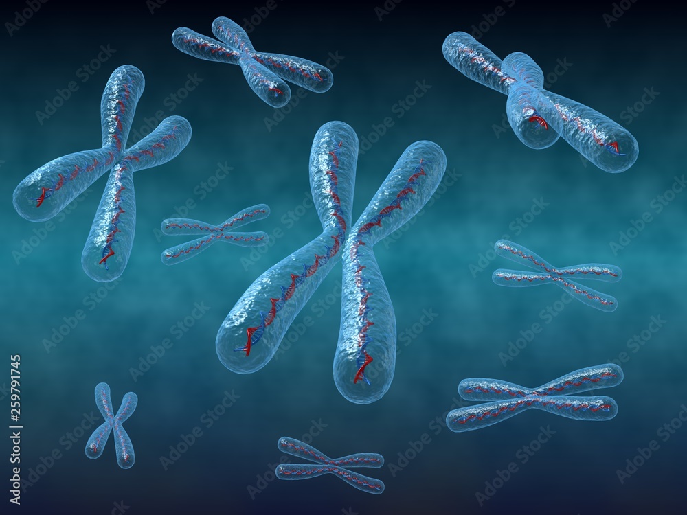 Chomosomes with DNA 3d rendered image Chomosomes with DNA 3d rendered image