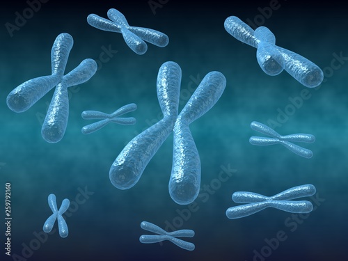 Chomosomes 3d rendered image